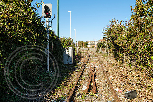 Signal DR196 + track at Jubilee Cl crossing looking north Weymouth Harbour Tramway 27092020 - DSCF6360