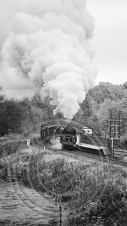 92134 Burrs 22102024 B&W Sfx - DSCF1514
