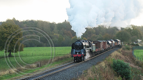 92134 Burrs 22102024 - DSCF1536