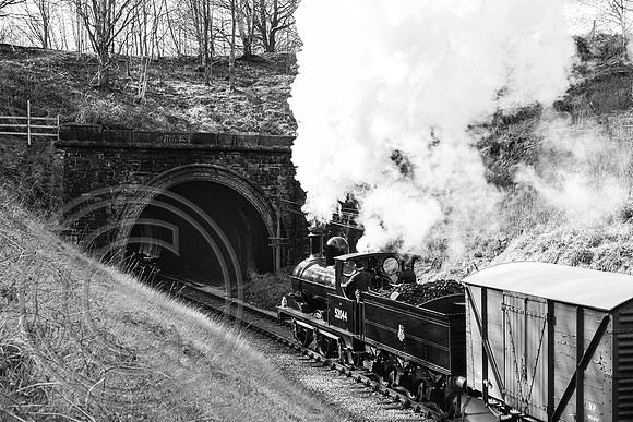 52044 Mytholmes Tunnel 27032023 B&W Acros - DSCF6054