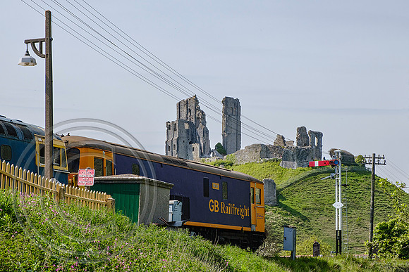 73136+33111 1R11 Corfe Castle 06052022 - DSCF8597