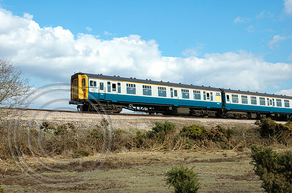 1497 Setley Plain 10042006 - DSC_0008