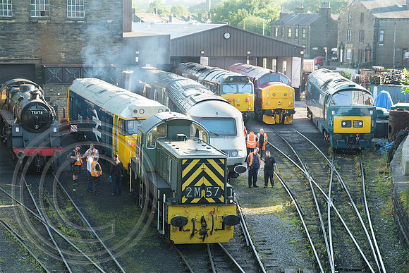 Haworth Shed 21062024 - DSCF0775