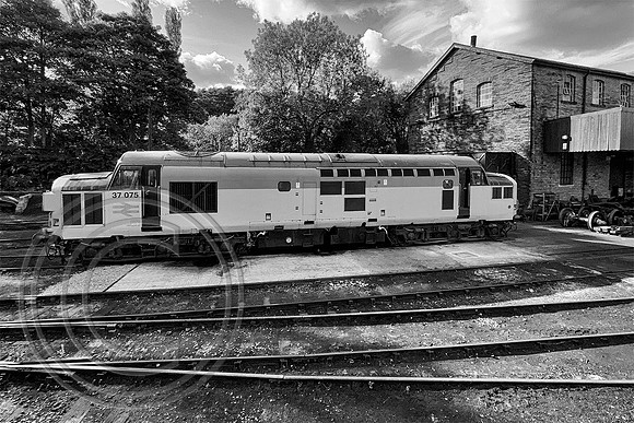 37075 Haworth shed 17092022 B&W SFx - IMG_7319