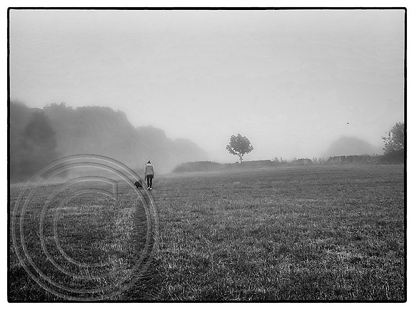 Misty Autumn 11092022 B&W - IMG_7293