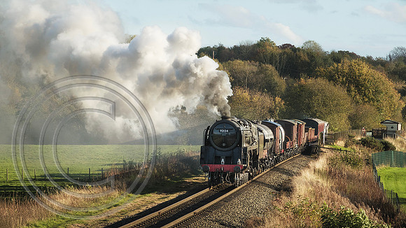 92134 Burrs 22102024 Cfx - DSCF1863