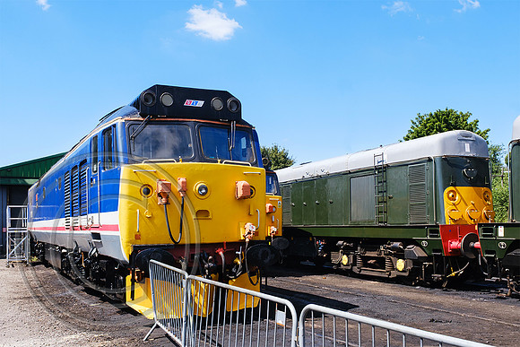 50027 + D8059 Ropley Shed 11072025 - DSCF3730