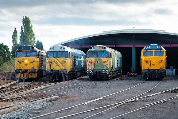 Class 50 line up SVR Kidderminster 03102018 - DSCF6515