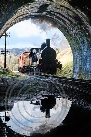 52044 Mytholmes Tunnel 27032023 - DSCF6404