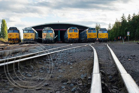 Class 50 line up SVR Kidderminster 03102018 - DSCF6528