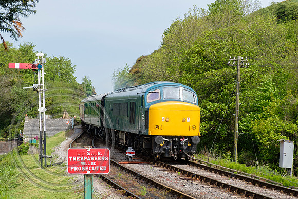 45041 1N01 Corfe Castle 11052018 - DSCF3809