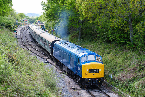 D182 2C13 Harmans Cross 07052022 - DSCF4491