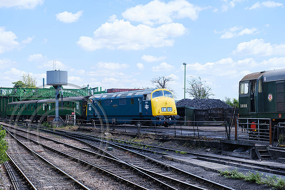 D821 Ropley Shed 11072025 - DSCF3784