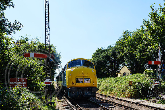 D821 1A30 Ropley 11072025 - DSCF3812