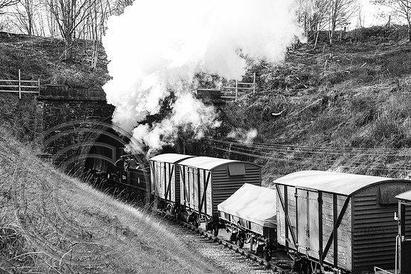 52044 Mytholmes Tunnel 27032023 B&W Acros - DSCF6057