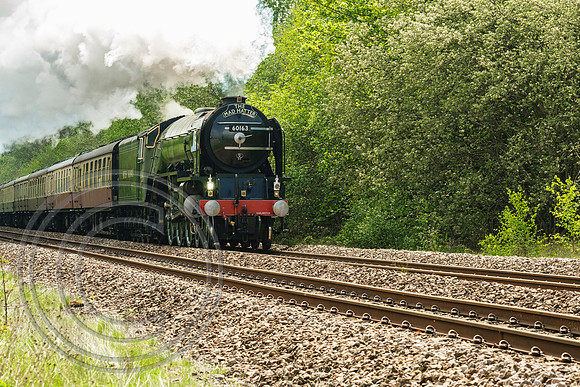 60163 1Z63 Brighouse 11052019 - DSCF2696