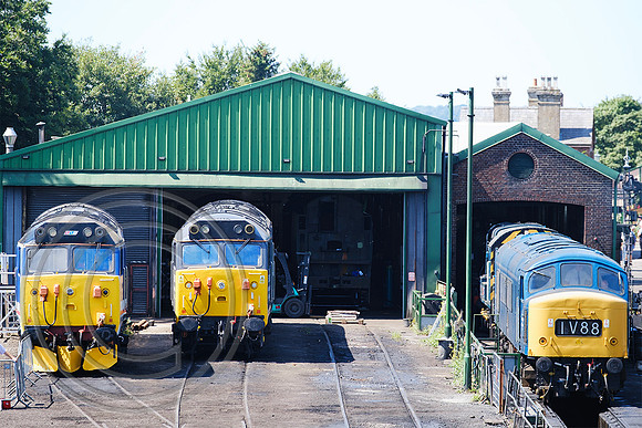 50027 + 50008 + 46045 Ropley Shed 11072025 - DSCF3720