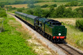 Corfe Common 26th June 2024