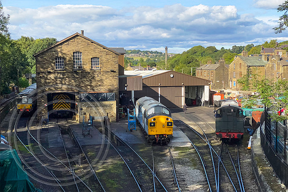 Haworth shed 17092022 - IMG_7314