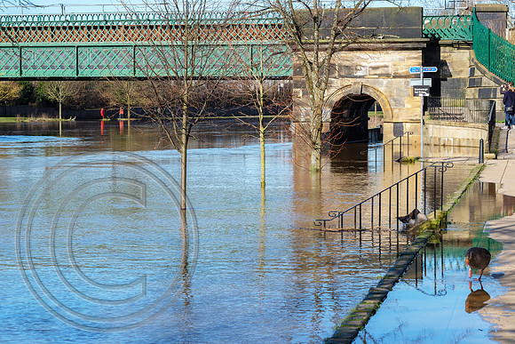 River Ouse York 05042018 - DSCF2623