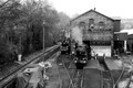 Steam Gala 21st March 2024