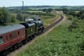 Corfe Common 26th June 2024