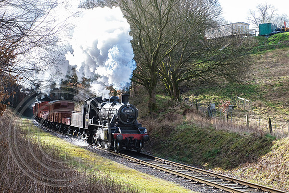 78018 Burrs 11032019  - DSCF1709