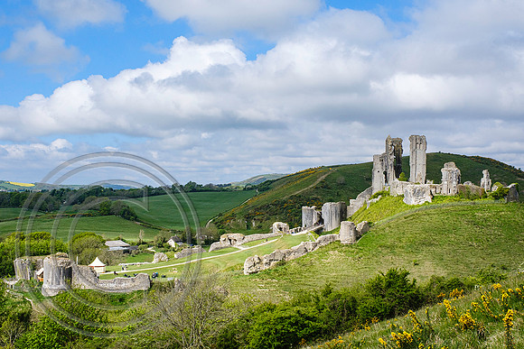 View of Corfe Castle from East Hill 07052022 - DSCF4301