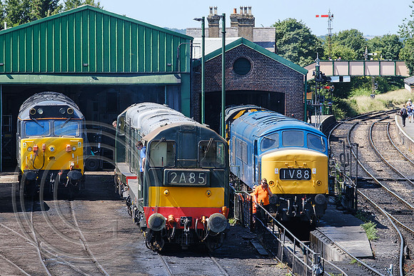 Locomotives on Ropley Shed 11072025 - DSCF3726