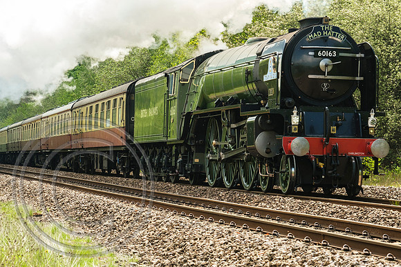 60163 1Z63 Brighouse 11052019 - DSCF2702