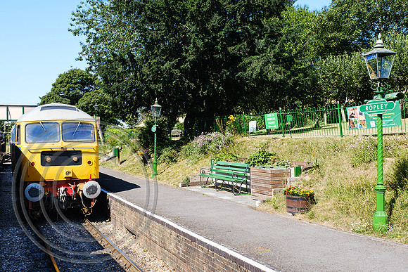 47579 Ropley 11072025 - DSCF3707