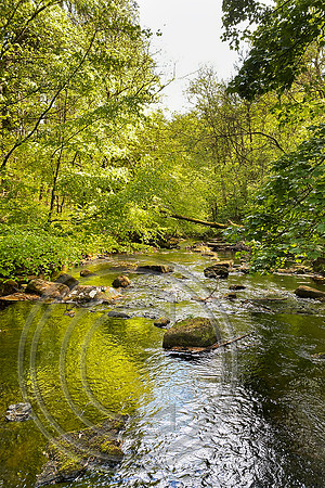 Hardcastle Crags 10052025 - IMG_9816