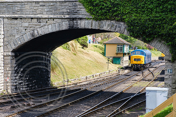 D182 Swanage 07052022 - DSCF4413