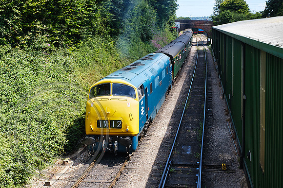 D821 2A19 Ropley 11072025 - DSCF3735