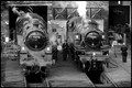 Steam Gala 21st March 2024