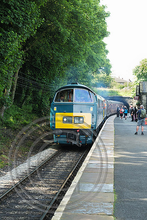 D1015 Ingrow West 21062024 - DSCF0816