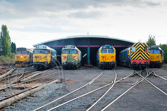 Class 50 line up SVR Kidderminster 03102018 - DSCF6512