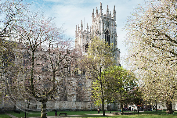 York Minster 19042025 CC - DSCF0312