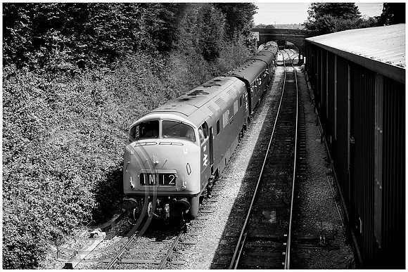 D821 2A19 Ropley 11072025 B&W Sfx + frame - DSCF3735