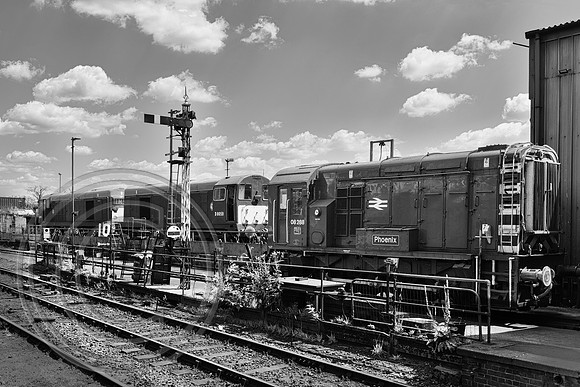08288 Ropley Shed 11072025 B&W - DSCF3782
