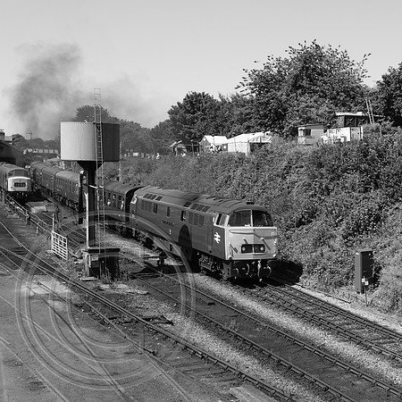 D1015 2A20 Ropley 11072025 B&W - DSCF3711
