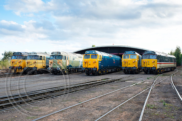 Class 50 line up SVR Kidderminster 03102018 - DSCF6522